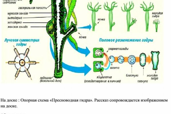Кракен маркетплейс закрыли