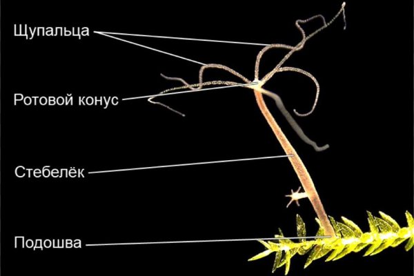 Регистрация на сайте кракен